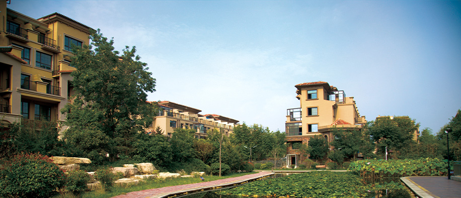 美彩国际(中国)有限公司