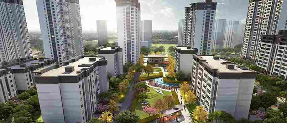 美彩国际(中国)有限公司