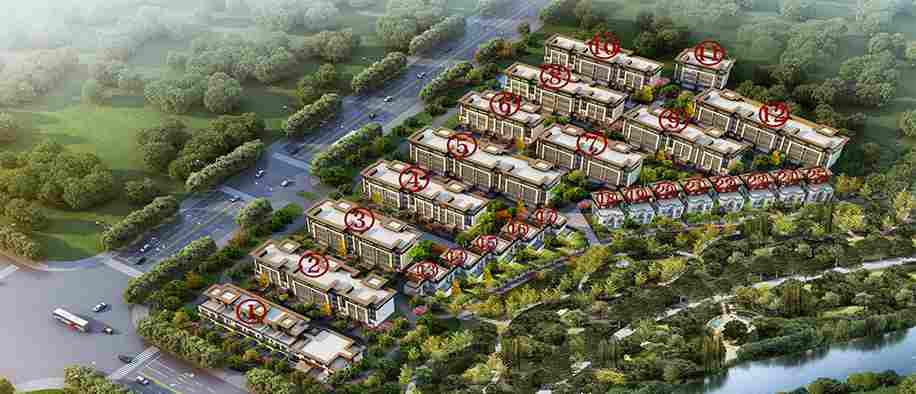 美彩国际(中国)有限公司