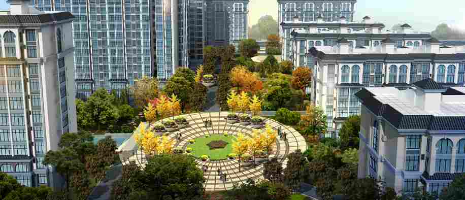 美彩国际(中国)有限公司