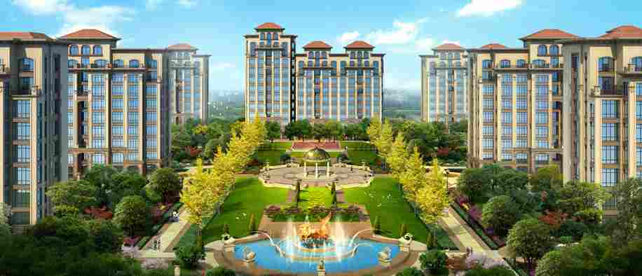 美彩国际(中国)有限公司