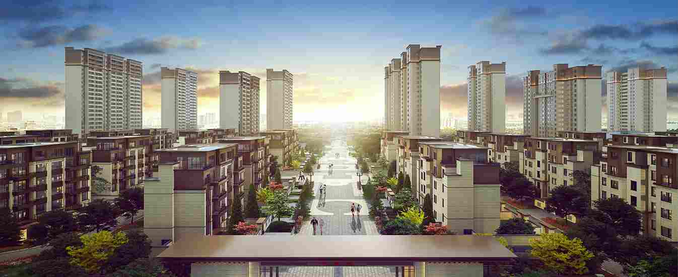 美彩国际(中国)有限公司