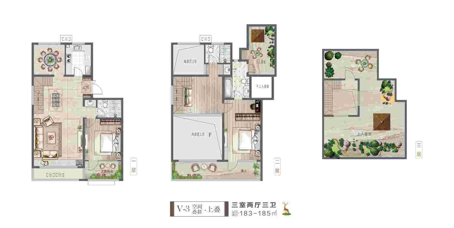 美彩国际(中国)有限公司