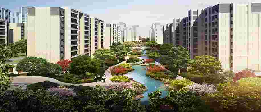 美彩国际(中国)有限公司