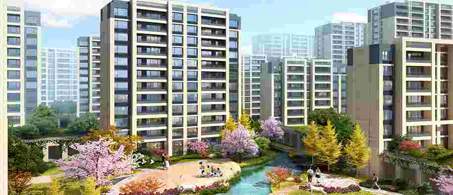 美彩国际(中国)有限公司