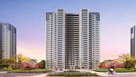 美彩国际(中国)有限公司