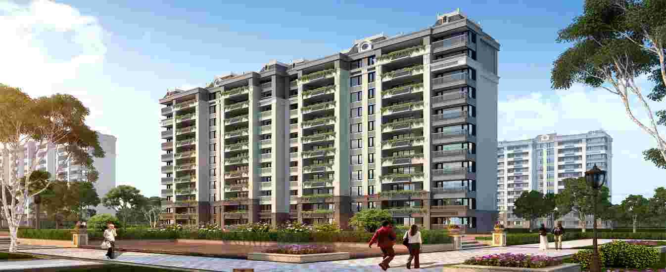 美彩国际(中国)有限公司