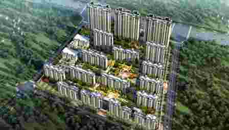 美彩国际(中国)有限公司