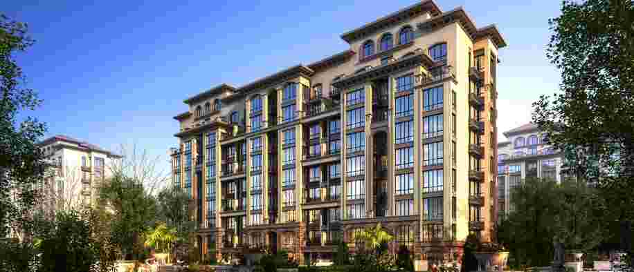 美彩国际(中国)有限公司