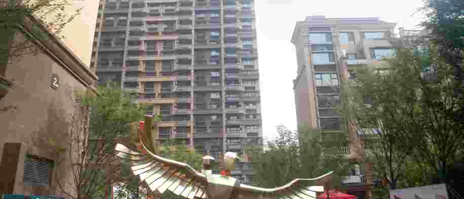 美彩国际(中国)有限公司