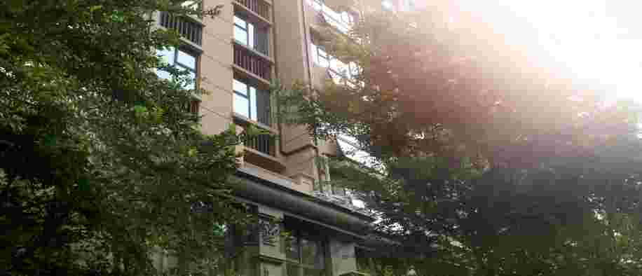 美彩国际(中国)有限公司