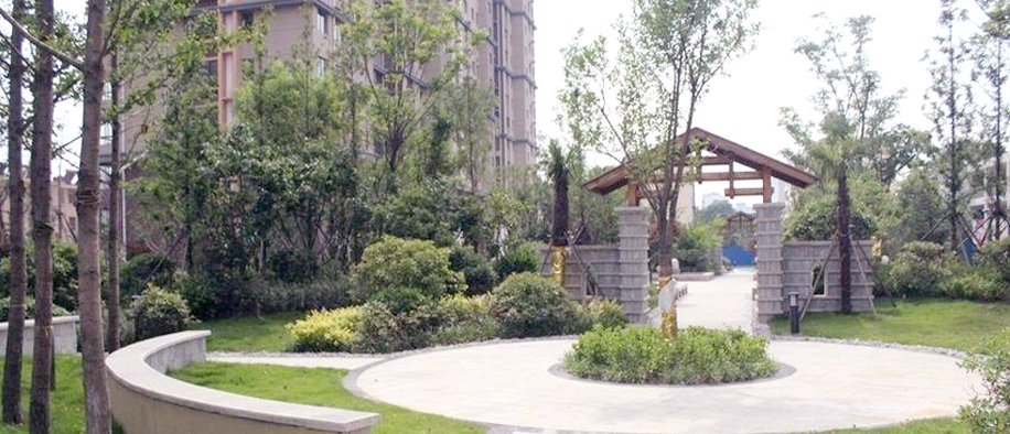 美彩国际(中国)有限公司