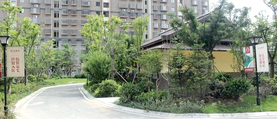 美彩国际(中国)有限公司