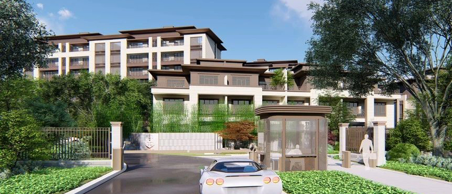 美彩国际(中国)有限公司