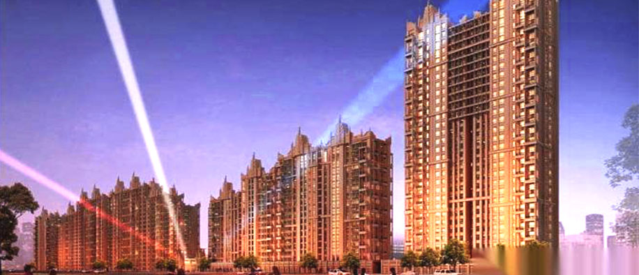 美彩国际(中国)有限公司