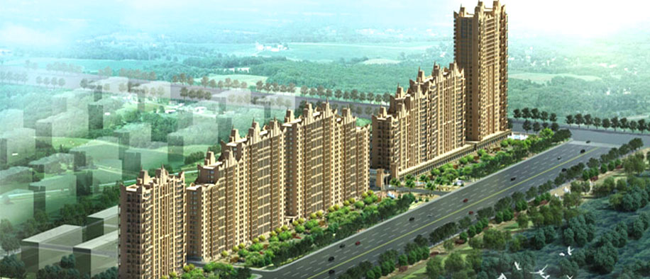 美彩国际(中国)有限公司