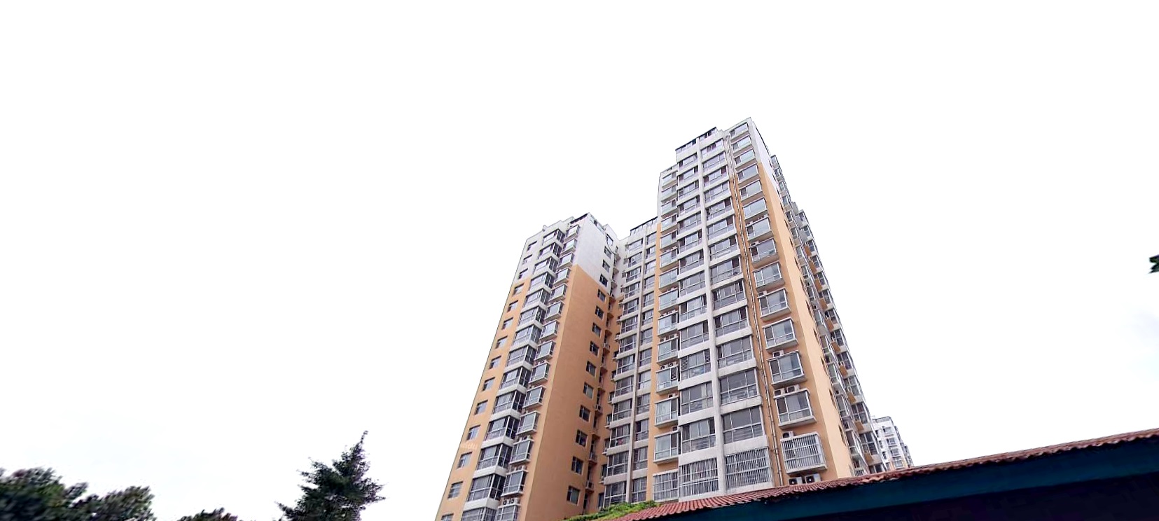 美彩国际(中国)有限公司