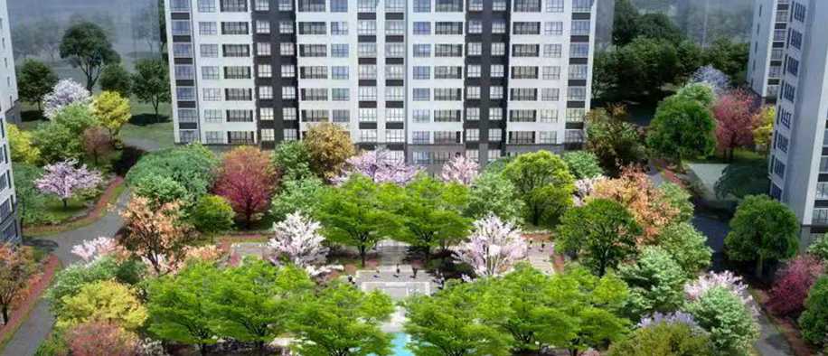 美彩国际(中国)有限公司