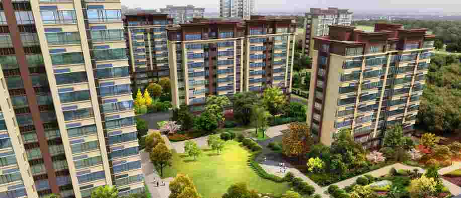 美彩国际(中国)有限公司