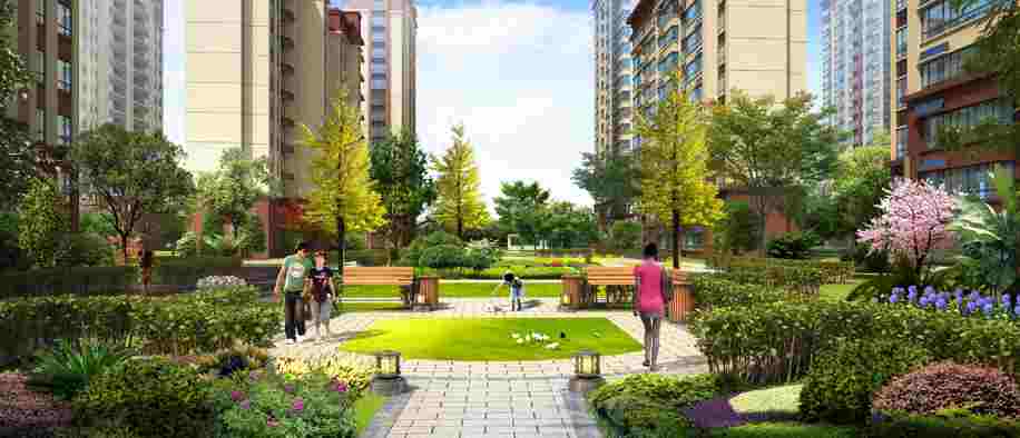 美彩国际(中国)有限公司