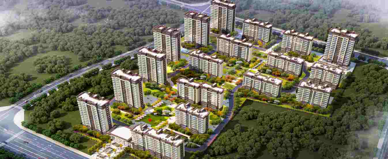 美彩国际(中国)有限公司